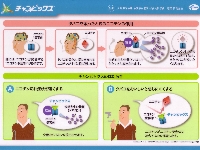 チャンピックス1.JPG